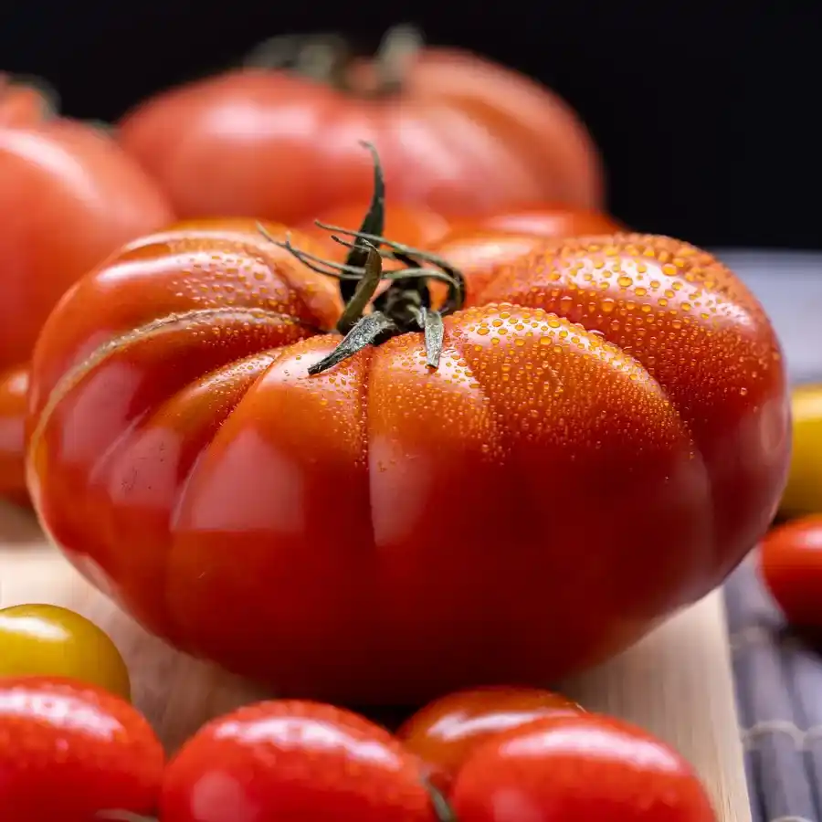 mayoristas-de-tomate-larga-vida-en-colombia