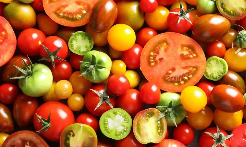 tomates-buenos