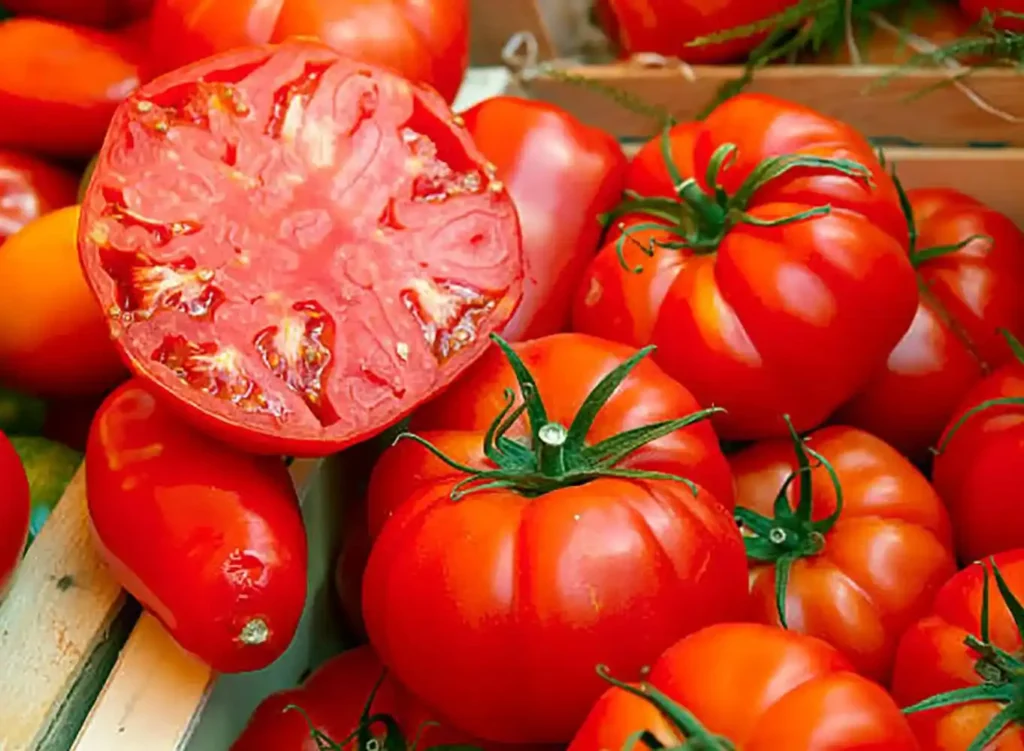 beefsteak tomatoes
