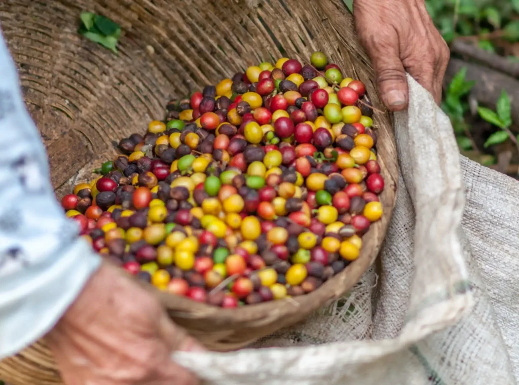 café en colombia