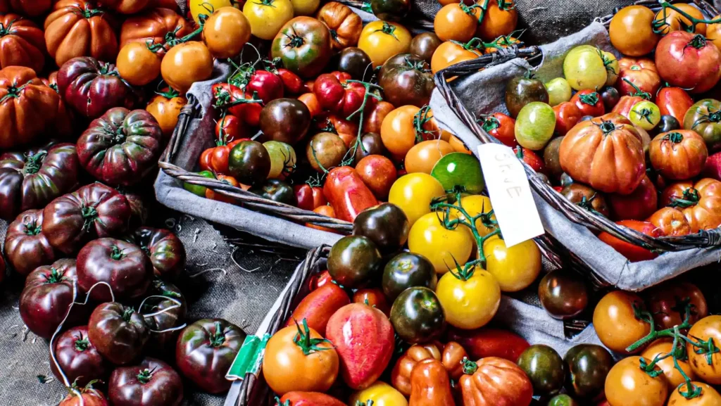 tipos de tomate
