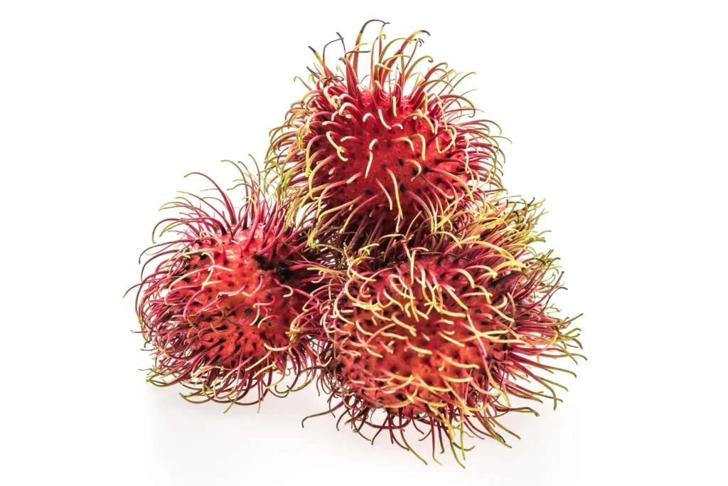 rambutan fruta