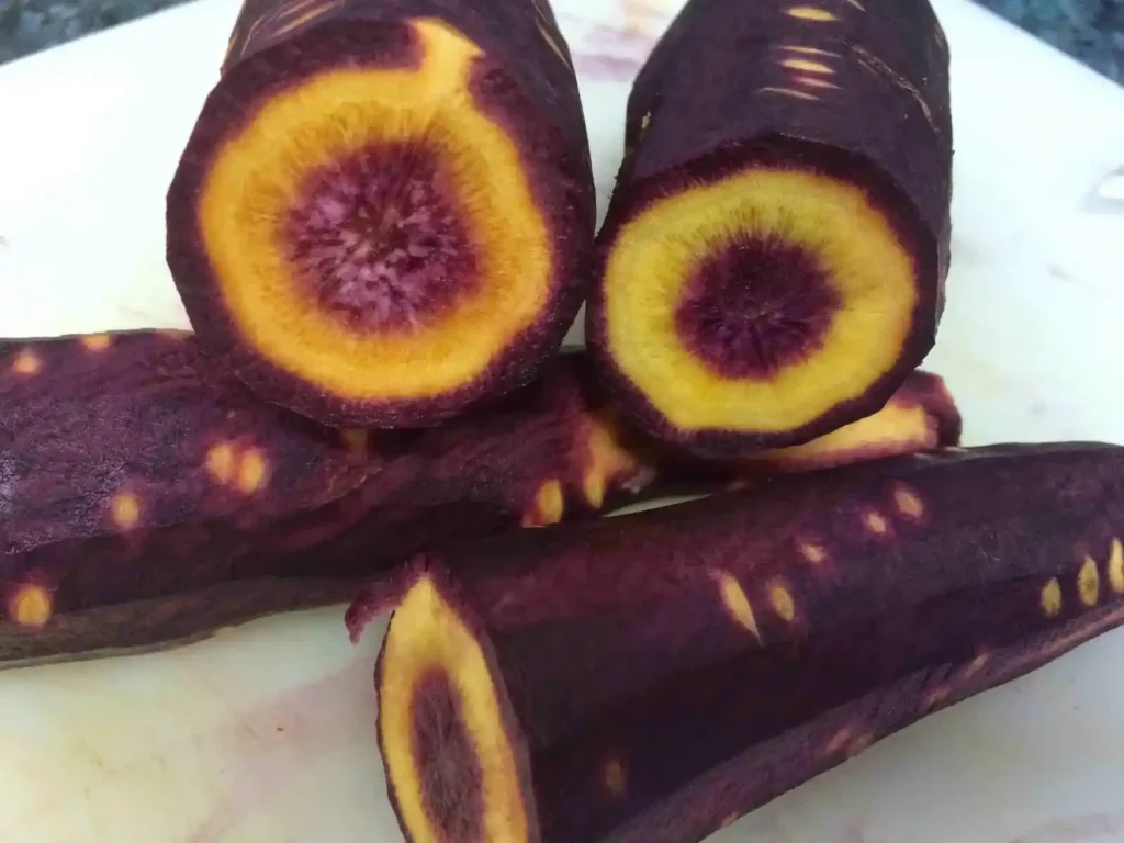 zanahoria violeta